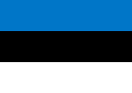 Груз 200 в Эстонию